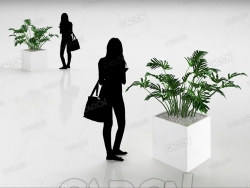 绿植龟背竹盆栽植物C4D模型