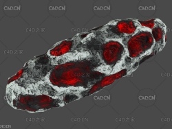 布满小坑的陨石小行星 asteroid