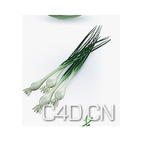 C4D蔬菜模型-青葱3D模型 Onion green