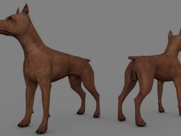 棕色杜宾犬C4D模型 dog Min Pin 3d model