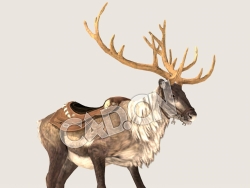 C4D行走的驯鹿模型（包含骨骼绑定动画) Reindeer_Idle 3D Model