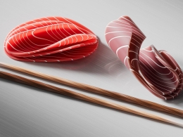 金枪鱼片卡通模型250grams Tuna