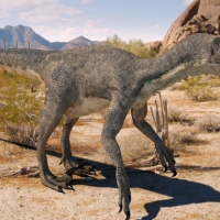 恐龙模型：迅猛龙C4D模型 Velociraptor