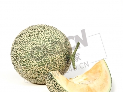 哈密瓜切开的水果一块哈密瓜C4D模型 Hami melon