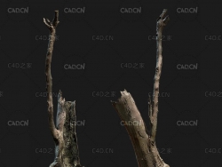 干枯的树桩树枝C4D OCTANE模型 set wood