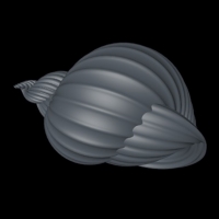 田螺C4D模型 snail