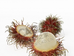 红毛丹水果剥开皮的毛丹C4D模型 Nephelium lappaceum L.