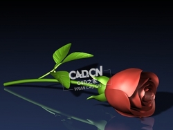 一枝玫瑰花C4D模型Rose