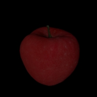 红苹果C4D模型 Red apple 3D model