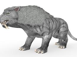史前动物：剑齿虎C4D模型（15套/含绑定动画）Saber 3d model