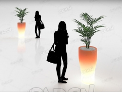 棕榈树盆栽景观树C4D模型