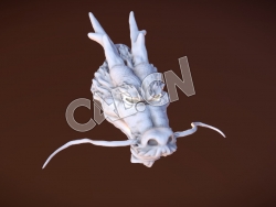 C4D龙头雕塑模型 Dragon Head Print