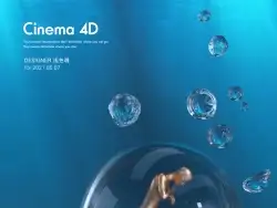 C4D渲染人体模型