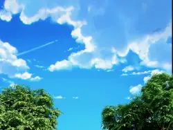 静静的看着