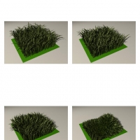 绿草、草坪C4D模型 Grass, lawn 3D model