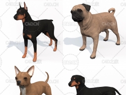 4只宠物狗C4D模型 dogs 3dmodel