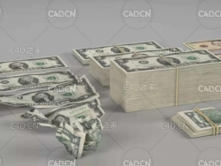 纸质美元美金金币USD Dollar Pack