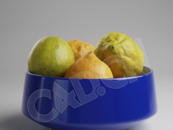 C4D一盆成熟的桔子芦柑柠檬模型 Lemon