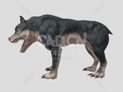 C4D肌肉恶霸犬动物模型下载