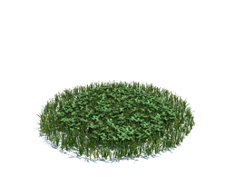 大野草植物杂草模型下载simple grass large v3