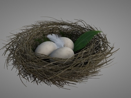 鸟巢 鸟窝 鸟蛋C4D模型 bird nest 3d model