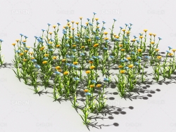 普通花草植物C4D模型 pattern_common-flower-5