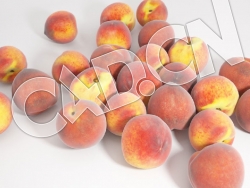 C4D成熟的红桃子水果模型 Peaches 3d Model