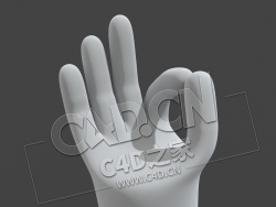 C4D卡通手掌ok姿势肢体绑定模型