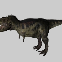 恐龙3D模型：暴龙（霸王龙） Tyrannosaurus