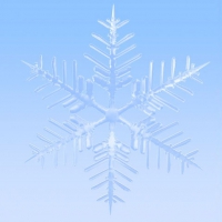 雪花C4D模型 Dynamic 3D tumbleweed