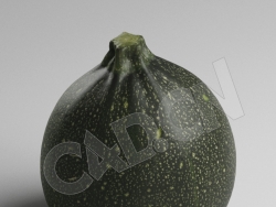 C4D圆形南瓜蔬菜模型 Zucchini