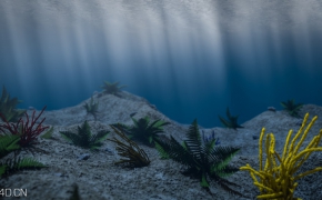 海底世界C4D模型 Under the sea