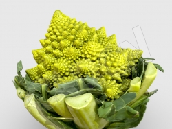 C4D蔬菜宝塔花菜罗马花椰菜3D扫描模型 Romanesco