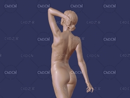 抬胳膊抬腿的女性姿势c4d模型 Female Poses