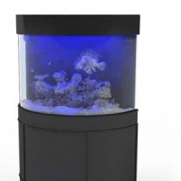 观赏鱼3D模型 鱼缸3D模型