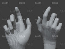 女性手 伸开的手 女孩的手 手3d模型 Female 3d model