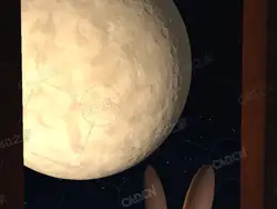 兔子练习
