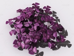 酸浆草酸酸草斑鸠酸三叶酸酸咪咪钩钩草植物C4D模型 oxalis-d1