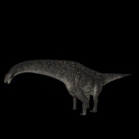 恐龙3D模型：泰坦巨龙(Titanosaurus)