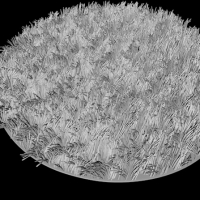 圆形地毯C4D模型 Carpet 3D model