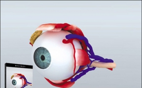 人的眼睛3D高精模型 DOSCH DESIGN – 3D: Medical Details – Human Eye
