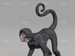 猴子 monkey