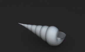 海螺C4D模型 Conch 3D model