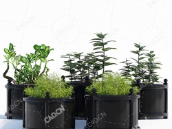 5盆绿色植物盆景落地盆栽模型落地绿植模型