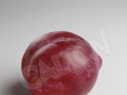 C4D成熟的李子模型 Plum