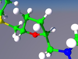 细胞结构C4D模型 Cell Structure