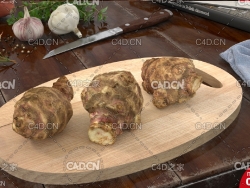 洋姜 Jerusalem artichokes