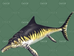 侏罗纪晚期肉食性鱼龙大眼鱼龙C4D绑定动画模型 opthalmosaurus