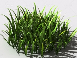草坪草地绿草植物C4D模型 lawn-grass-a2