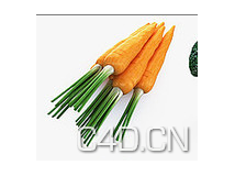 C4D蔬菜模型-胡萝卜 Carrot